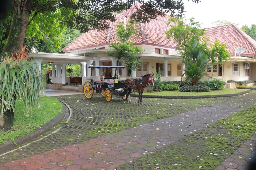 Omah Kertonegoro Hotel Jogyakarta Zewnętrze zdjęcie
